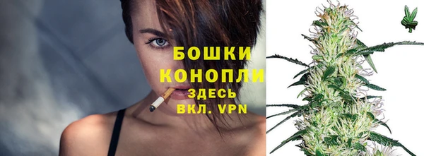 дживик Верея