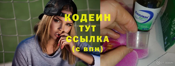 дживик Верея
