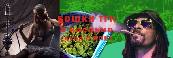 дживик Верея